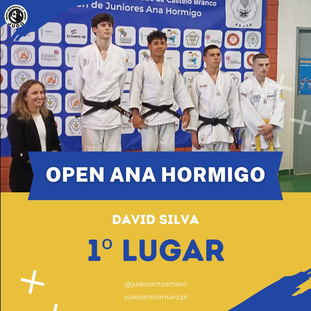 Open Ana hormigo